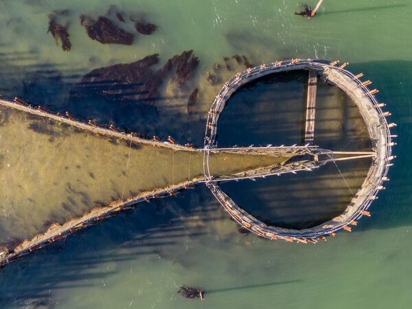 멸치를 가두는 원형의 발통부와 멸치를 가두는 발창부를 내려다 본 모습. 사진=한국관광공사