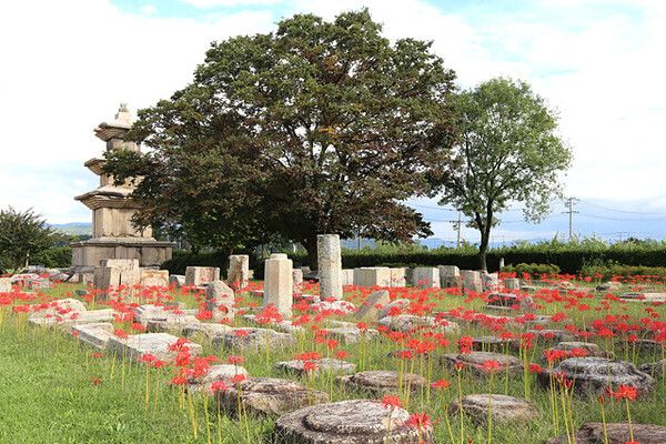 경주국립박물관 야외 전시장. 사진=한국관광공사