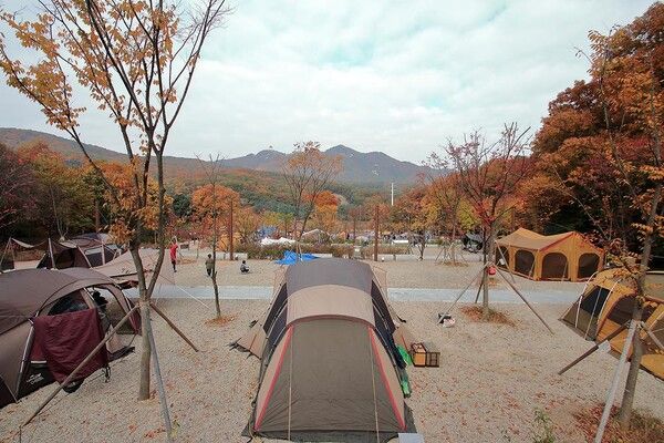 초막골생태공원 느티나무야영장(경기도_군포시). 사진=한국관광공사