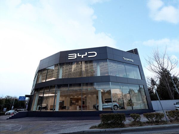 DT네트웍스가 BYD Auto 부산 수영 전시장을 공식 오픈했다. 사진=DT네트웍스