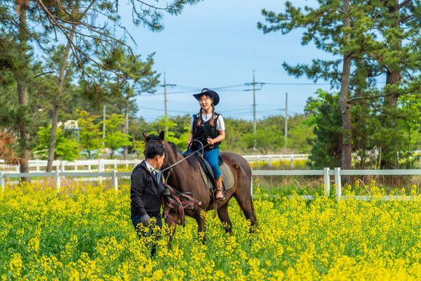 고창의 숨은 보물 명사십리에서 즐기는 해변 승마. 사진=한국관광공사