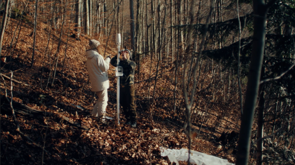 현대자동차가 칸 광고제 3관왕 AI기반의 사회공헌 홍보 캠페인 ‘나무 특파원’을 공개한다.