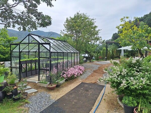 농업회사법인주식회사디에스팜.