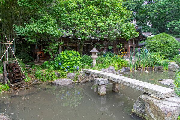 성남 새소리 물소리. 사진=경기관광공사