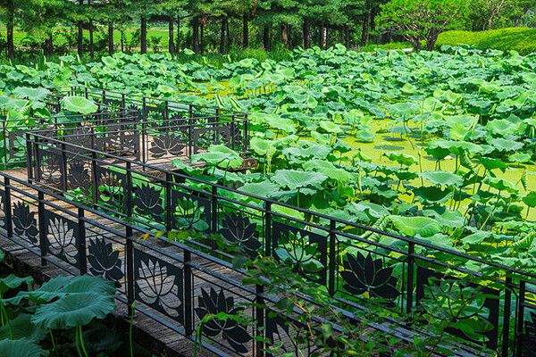 안성 서일농원. 사진=경기관광공사