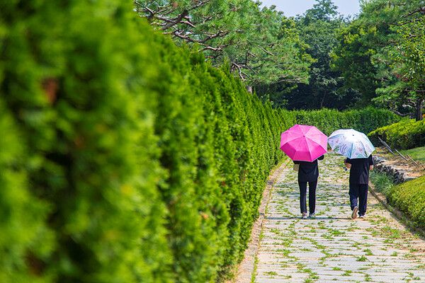 안성 서일농원. 사진=경기관광공사
