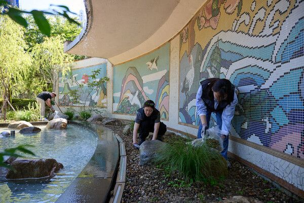포르쉐코리아가 서울시 동대문구 장평근린공원의 ‘빌리브 인 드림-파크’ 빗물정원에서 임직원 가드닝 봉사활동을 진행했다.
