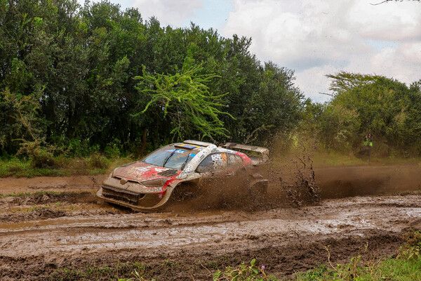 타카모토 카츠야가 2026 WRC 제3전 사파리 랠리에서 우승했다. 사진=토요타 가주 레이싱