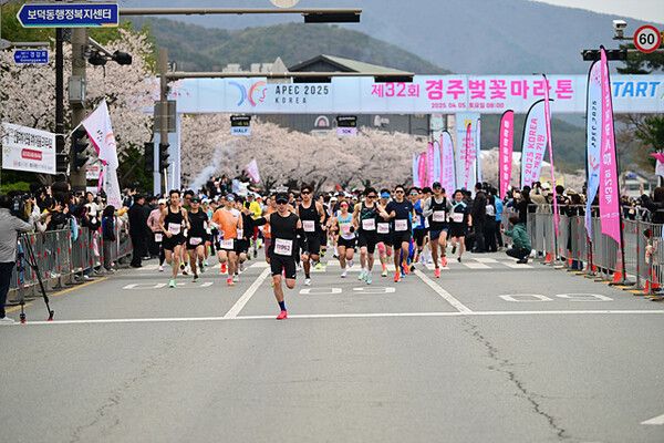 제 32회(2025) 경주벚꽃마라톤 대회. 사진=한국관광공사