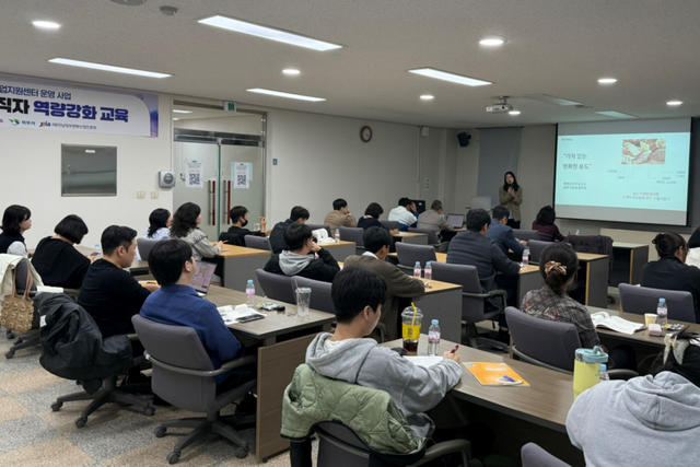기업멘토형 청년 창업지원사업 청년창업자·근로자 대상 역량 강화 교육 현장. (사진=전남정보문화산업진흥원)