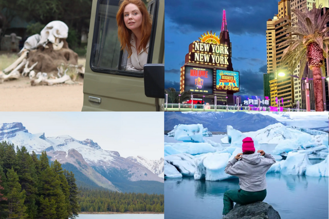 투어레인 플랫폼 이용객들의 여행 후기 사진. (사진=투어레인)