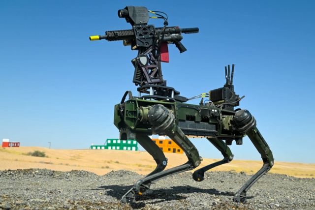 (사진=미국 육군)