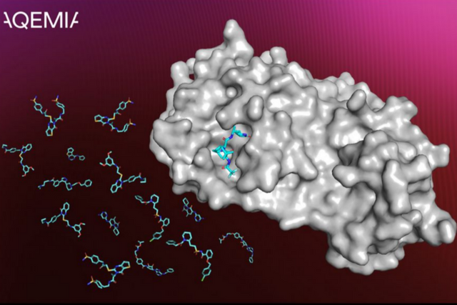 (사진=아케미아)