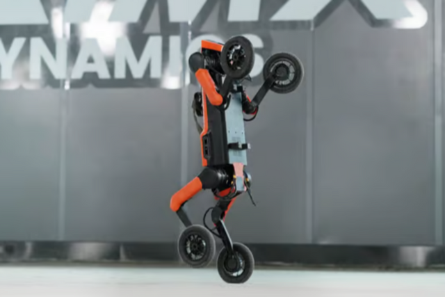 (사진=림엑스다이내믹스)