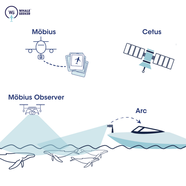 웨일 시커의 기술을 설명하는 개념도. (사진=웨일 시커)