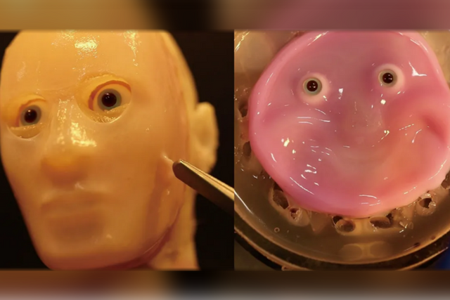 (사진=도쿄대학교)