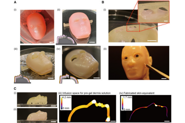(사진=도쿄대학교)