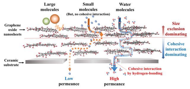 적층형 산화 그래핀 막에서의 물질 이동 기작 모식도. (사진=지스트)