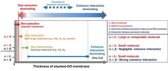 적층형 산화 그래핀 막에서 물질 이동 규작이 크기배제 및 상대적 상호작용으로 전이되는 원리. (사진=지스트)