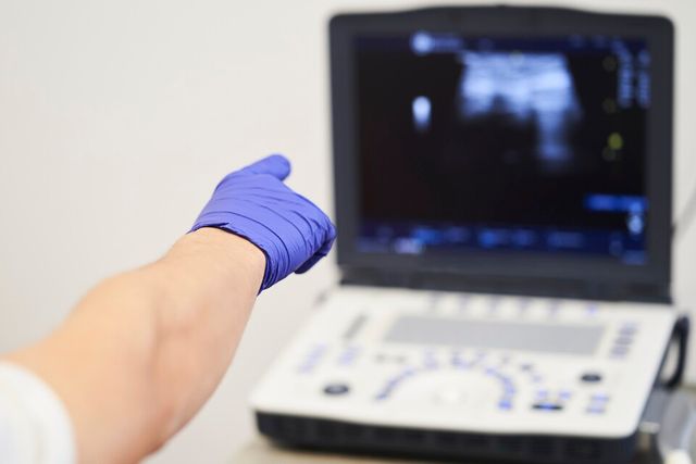 기사의 이해를 돕기 위한 이미지. (사진=엔바토 엘리먼트)