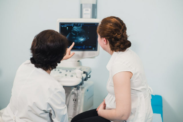 기사의 이해를 돕기 위한 이미지. (사진=엔바토 엘리먼트)