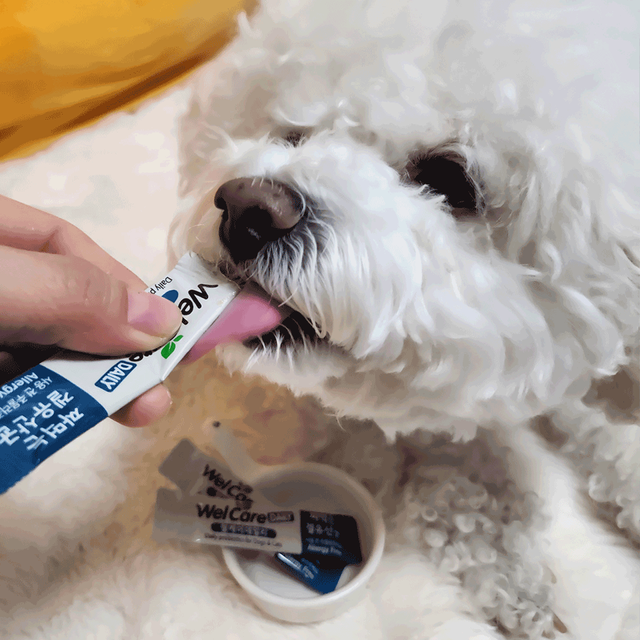 (사진=벨벳케어)