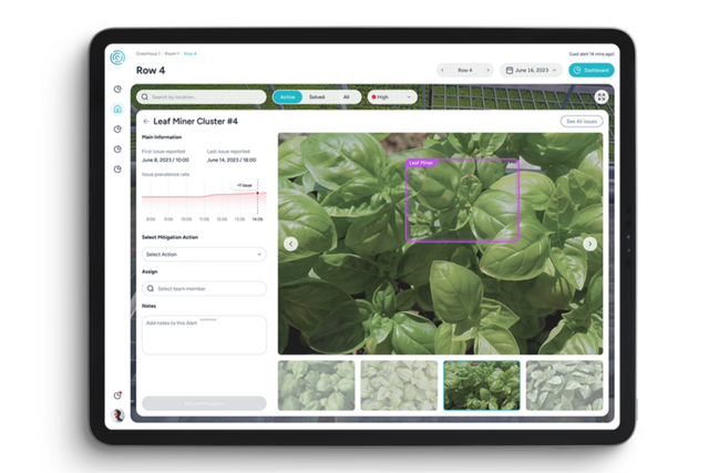 (사진=페르마타)