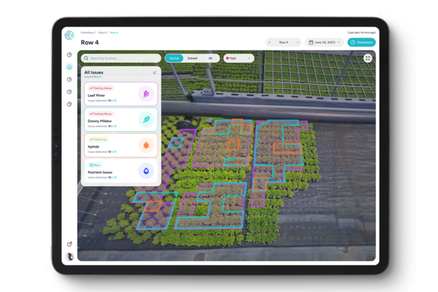 (사진=페르마타)