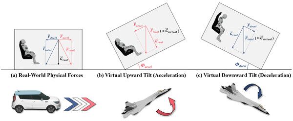 VR 내 움직임에 적용된 중력-관성 재지향 원리 설명. 가속(red)과 감속(blue) 시 발생하는 힘과 실제 중력이 합쳐져 새로운 합성력이 만들어지며, 이 합성력이 가상현실 속 중력 방향과 일치하도록 적용되어 가속 시 상승, 감속 시 하강으로 체감되도록 구성된 시스템 원리의 모습이다. (사진=지스트)
