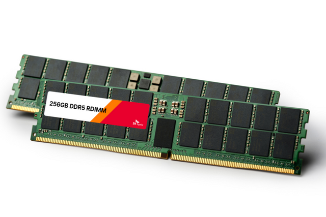 SK하이닉스 1b 32Gb 기반 256GB DDR5 RDIMM. (사진=SK하이닉스)