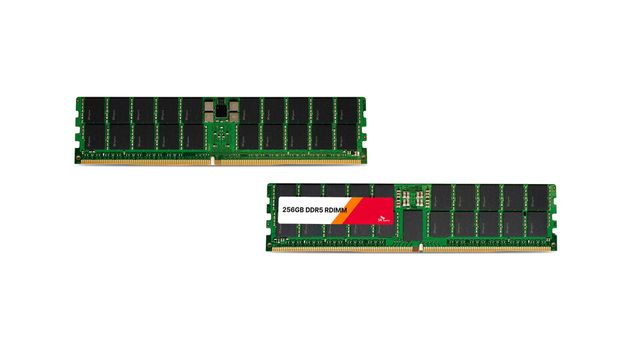 SK하이닉스 1b 32Gb 기반 256GB DDR5 RDIMM. (사진=SK하이닉스)
