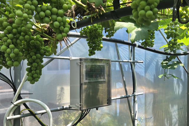 (사진=에이비씨랩스)