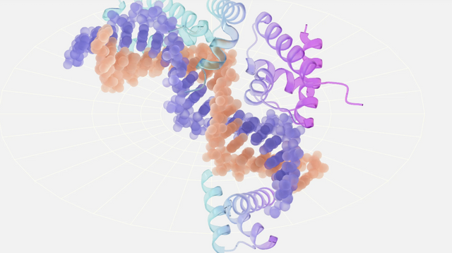 (사진=레이턴트랩스)