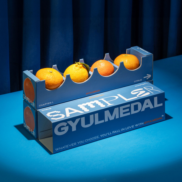 제주 신품종 만감류 ‘하르봉’. (사진=귤메달)