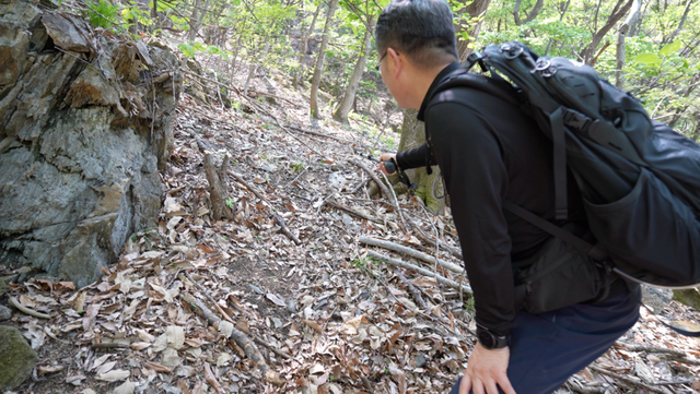 (사진=지식인미나니)