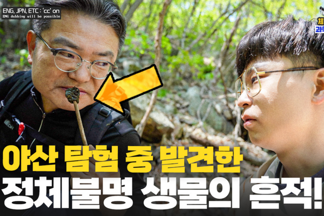 (사진=지식인미나니)