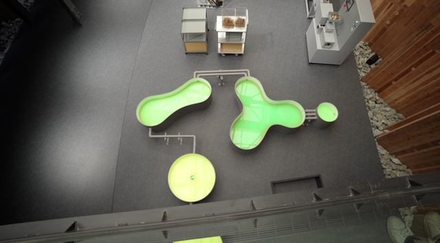 (사진=지식인미나니)