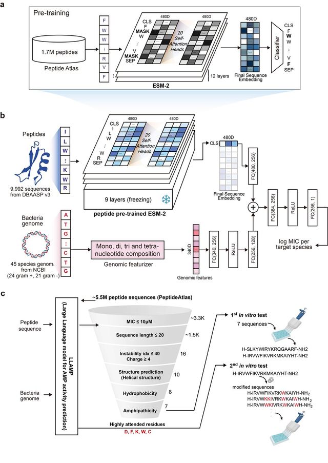 LLAMP 모델 개요. (사진=지스트)