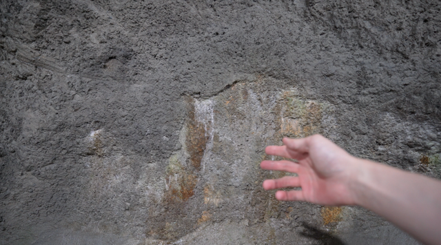 (사진=지식인미나니)