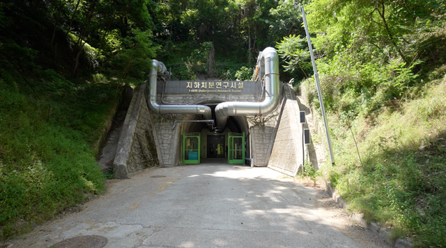 (사진=지식인미나니)