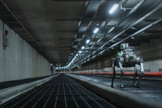 (사진=딥로보틱스)