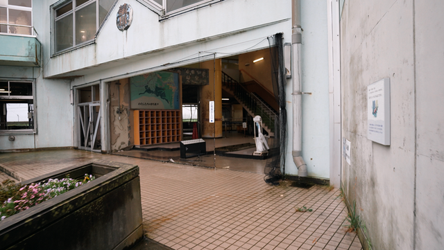 (사진=지식인미나니)