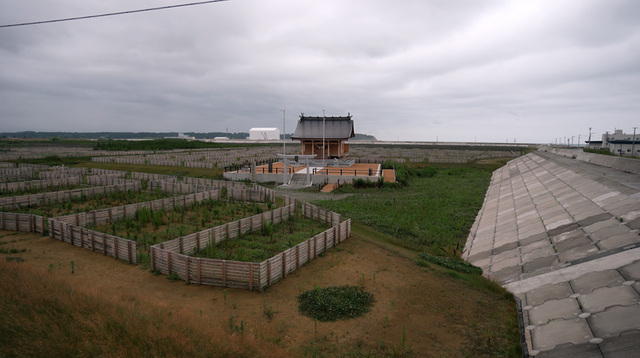 (사진=지식인미나니)