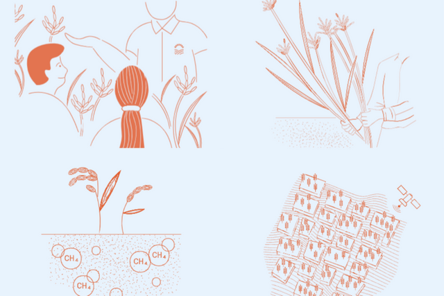 (사진=미티랩스)