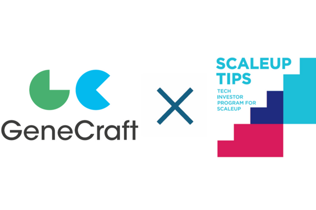 (사진=진크래프트)