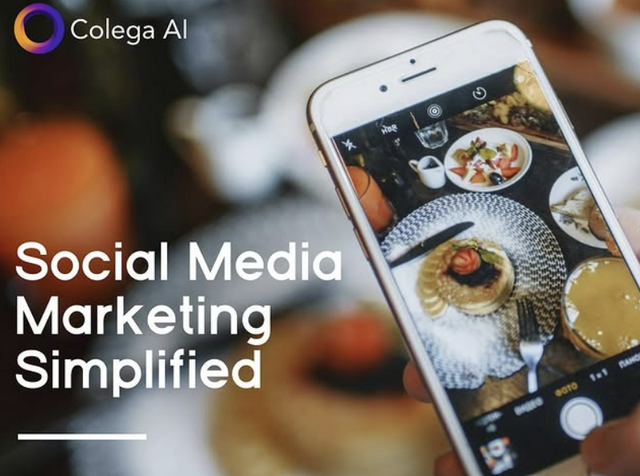 (사진=콜레가 AI)