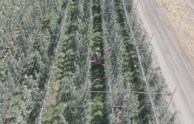 (사진=오차드 로보틱스)