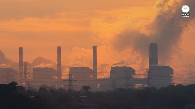 (사진=지식인미나니)