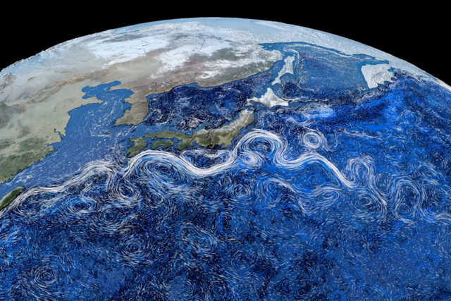 (사진=지식인미나니)