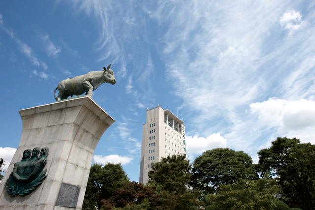 건국대학교 행정관 앞 황소상. (사진=건국대)